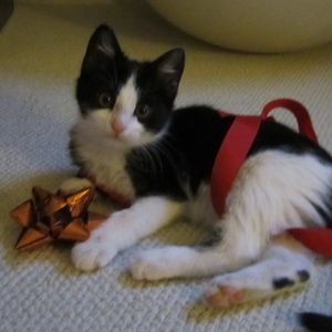 Meet your Posher, Kathel